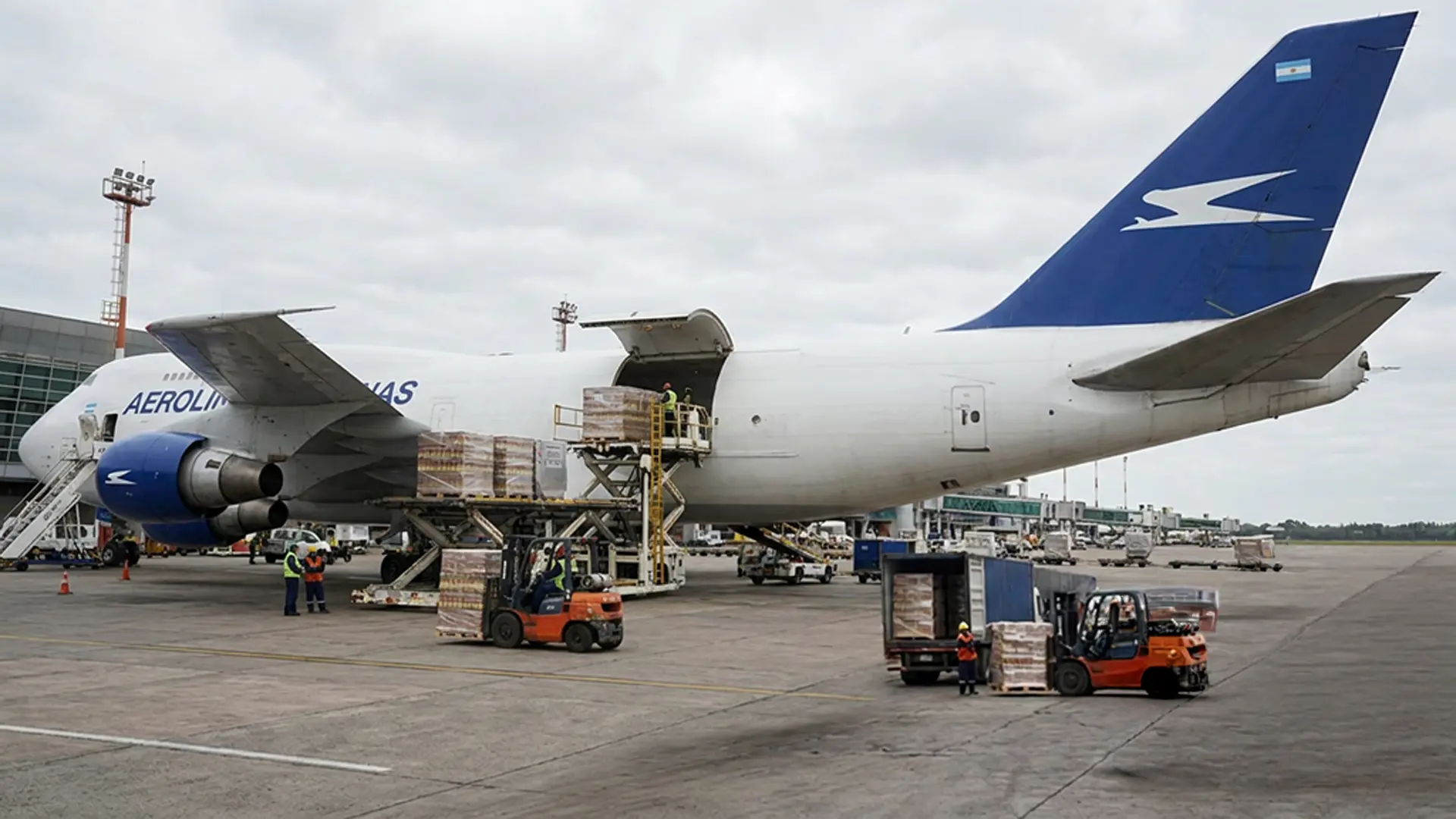 Exportación aérea — Oligra Sudamericana